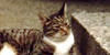 bild13_sm