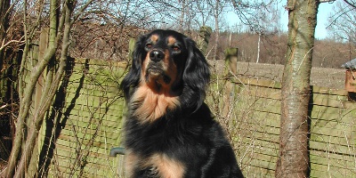 bild14