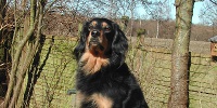 bild14_sm