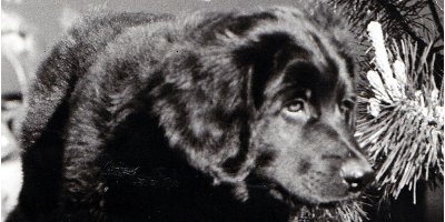 bild22