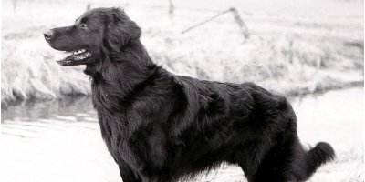 bild23