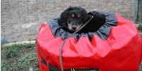bild35_sm