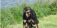 bild38_sm