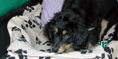 bild4