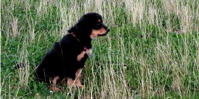 bild52