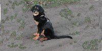 bild58_sm