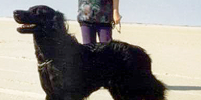bild7