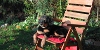 bild9_sm