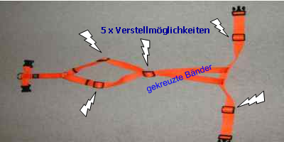brust1