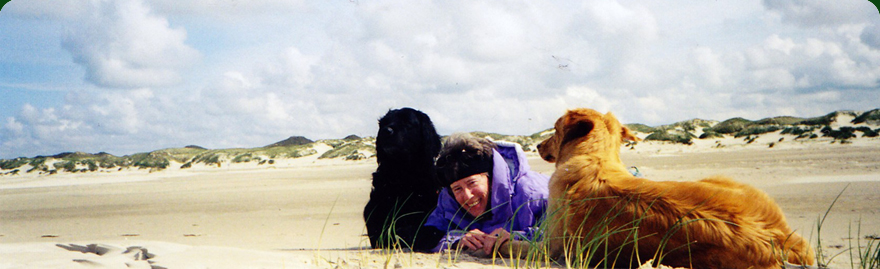 headerbild aktuell